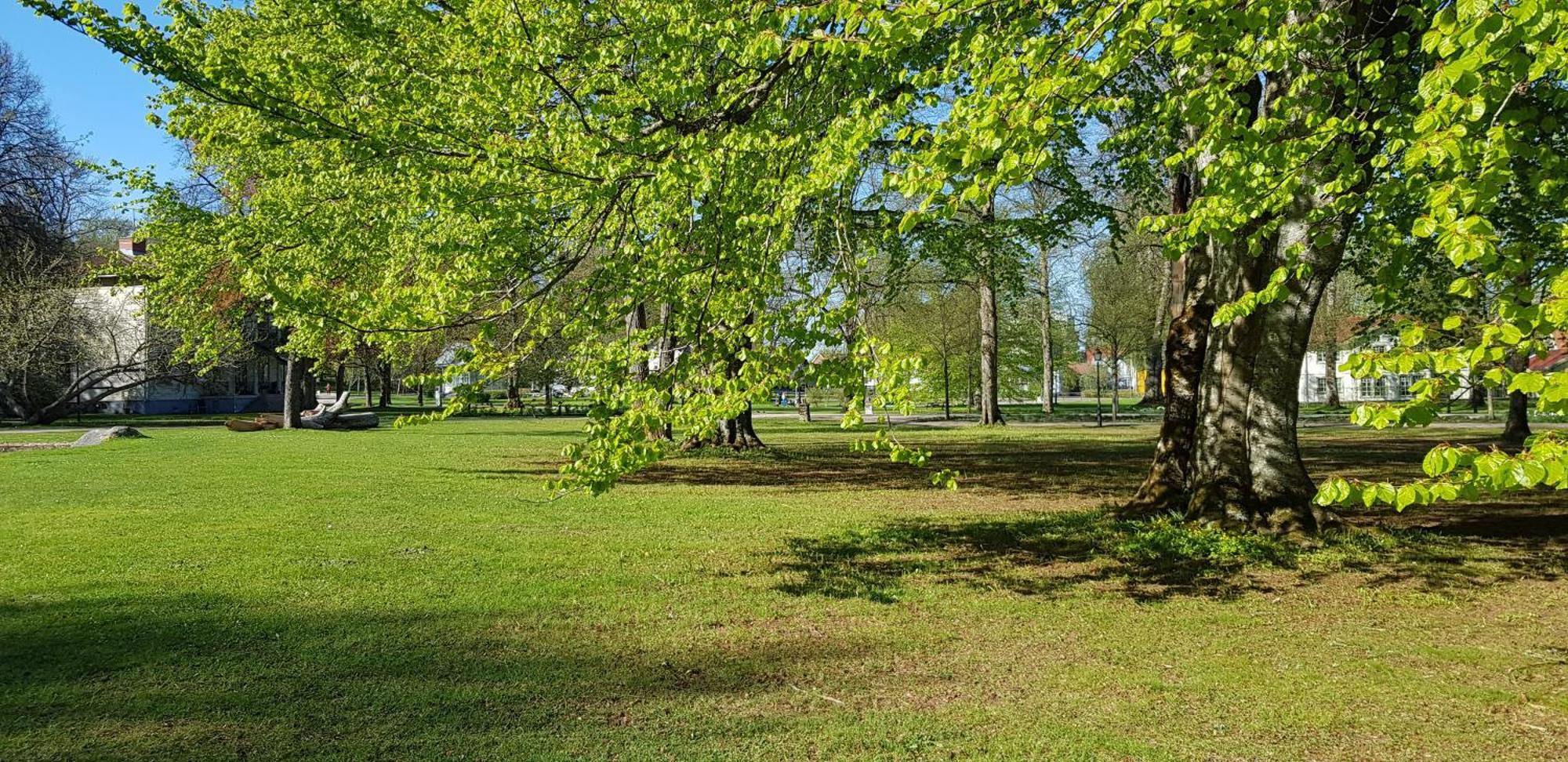 Moessebergs Vandrarhem Falköping Zewnętrze zdjęcie